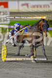 2026_Pacepix_GP14082026_Race5_Luvbite_WIN_WEB-13