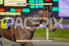 2026_Pacepix_GP14082026_Race5_Luvbite_WIN_WEB-14