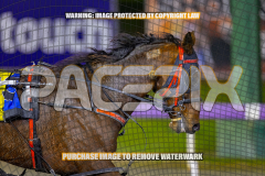 2026_Pacepix_GP14082026_Race5_Luvbite_WIN_WEB-15