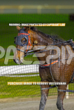 2026_Pacepix_GP14082026_Race5_Luvbite_WIN_WEB-17