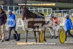 2026_Pacepix_GP14082026_Race5_Luvbite_WIN_WEB-21
