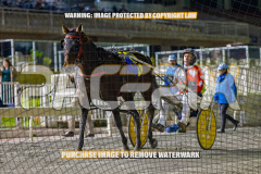 2026_Pacepix_GP14082026_Race5_Luvbite_WIN_WEB-23
