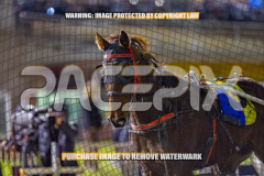 2026_Pacepix_GP14082026_Race5_Luvbite_WIN_WEB-24
