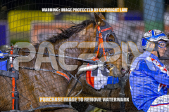 2026_Pacepix_GP14082026_Race5_Luvbite_WIN_WEB-4