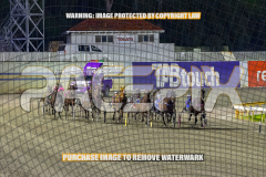 2026_Pacepix_GP14082026_Race5_Luvbite_WIN_WEB-5