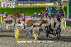 2026_Pacepix_GP14082026_Race5_Luvbite_WIN_WEB-8