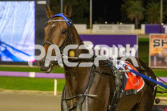 RACE 5 - Mad Monday
