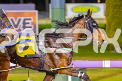 RACE 5 - Maddy Lou