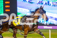 2025_Pacepix_GP30092025_RACE5_MaddyLou_WIN_WEB-4