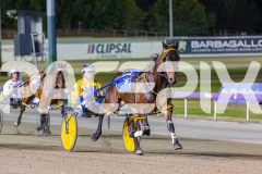 2025_PACEPIX_GP05122025_RACE5_MagnificentStorm_WIN_WEB-1