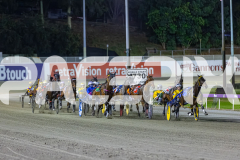 2025_PACEPIX_GP05122025_RACE5_MagnificentStorm_WIN_WEB-10