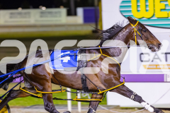 2025_PACEPIX_GP05122025_RACE5_MagnificentStorm_WIN_WEB-13