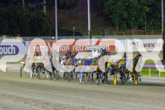 2025_PACEPIX_GP05122025_RACE5_MagnificentStorm_WIN_WEB-14