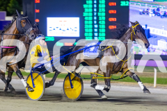 2025_PACEPIX_GP05122025_RACE5_MagnificentStorm_WIN_WEB-16