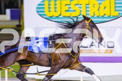 2025_PACEPIX_GP05122025_RACE5_MagnificentStorm_WIN_WEB-17
