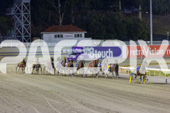 2025_PACEPIX_GP05122025_RACE5_MagnificentStorm_WIN_WEB-18