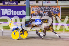 2025_PACEPIX_GP05122025_RACE5_MagnificentStorm_WIN_WEB-23