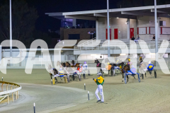 2025_PACEPIX_GP05122025_RACE5_MagnificentStorm_WIN_WEB-26