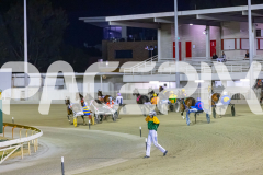 2025_PACEPIX_GP05122025_RACE5_MagnificentStorm_WIN_WEB-27