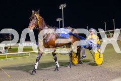 2025_PACEPIX_GP05122025_RACE5_MagnificentStorm_WIN_WEB-3