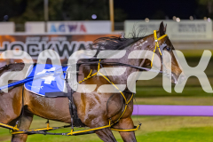 2025_PACEPIX_GP05122025_RACE5_MagnificentStorm_WIN_WEB-31
