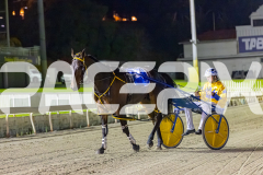 2025_PACEPIX_GP05122025_RACE5_MagnificentStorm_WIN_WEB-34