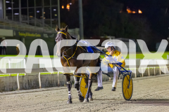 2025_PACEPIX_GP05122025_RACE5_MagnificentStorm_WIN_WEB-35