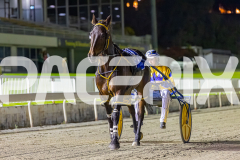 2025_PACEPIX_GP05122025_RACE5_MagnificentStorm_WIN_WEB-36