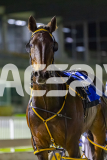 2025_PACEPIX_GP05122025_RACE5_MagnificentStorm_WIN_WEB-40