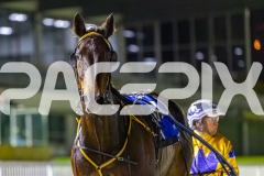 2025_PACEPIX_GP05122025_RACE5_MagnificentStorm_WIN_WEB-41