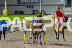 2025_PACEPIX_GP05122025_RACE5_MagnificentStorm_WIN_WEB-43
