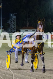 2025_PACEPIX_GP05122025_RACE5_MagnificentStorm_WIN_WEB-44