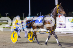 2025_PACEPIX_GP05122025_RACE5_MagnificentStorm_WIN_WEB-46