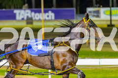 2025_PACEPIX_GP05122025_RACE5_MagnificentStorm_WIN_WEB-5