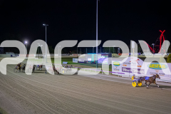 2025_PACEPIX_GP05122025_RACE5_MagnificentStorm_WIN_WEB-51