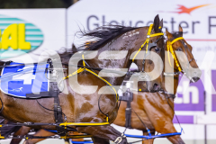 2025_PACEPIX_GP05122025_RACE5_MagnificentStorm_WIN_WEB-9