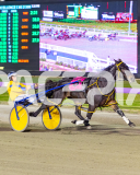 2026_PACEPIX_GP10042026_RACE5_MagnificentStorm_WIN_WEB-26