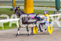 2026_PACEPIX_GP10042026_RACE5_MagnificentStorm_WIN_WEB-34