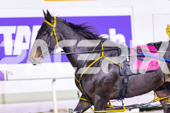 2026_PACEPIX_GP10042026_RACE5_MagnificentStorm_WIN_WEB-35