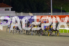 2026_PACEPIX_GP24042026_Race5_MagnificentStorm_WIN_WEB-17