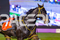 2026_PACEPIX_GP24042026_Race5_MagnificentStorm_WIN_WEB-22