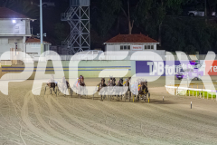 2026_PACEPIX_GP24042026_Race5_MagnificentStorm_WIN_WEB-52