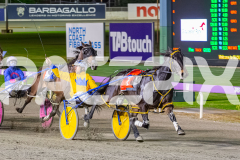 2026_PACEPIX_GP24042026_Race5_MagnificentStorm_WIN_WEB-58