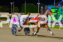 2026_PACEPIX_GP24042026_Race5_MagnificentStorm_WIN_WEB-7