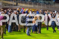 2026_PACEPIX_GP24042026_Race5_MagnificentStorm_WIN_WEB-72