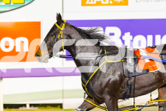 2026_PACEPIX_GP24042026_Race5_MagnificentStorm_WIN_WEB-79