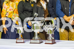 2026_PACEPIX_GP24042026_Race5_MagnificentStorm_WIN_WEB-96
