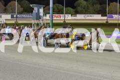 2026_GP13022026_RACE5_MagnificentStorm_WIN_WEB-1