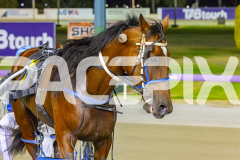 2025_PACEPIX_GP26122025_RACE5_MagnusVictor_WIN_WEB-18