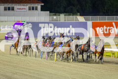 2025_PACEPIX_GP01082025_RACE5_MajorJay_Onesmartfella_WIN_WEB-1